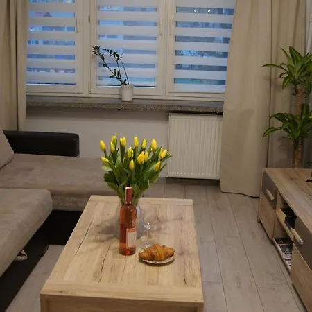 Apartman Freedom In The City